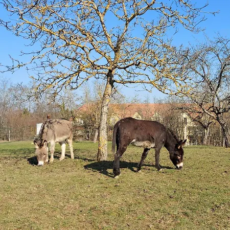 Saint Martin - Calme&nature